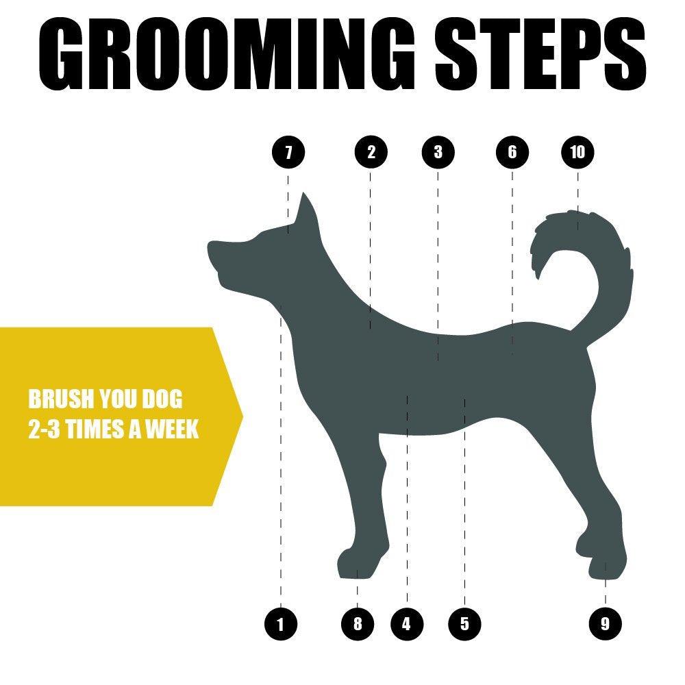 Furrview Pet Grooming Brush - Black and Blue, Bristle and Pin Comb for All Breeds and Coat Types, Removes Shedding Hair, Ideal for Dogs and Cats