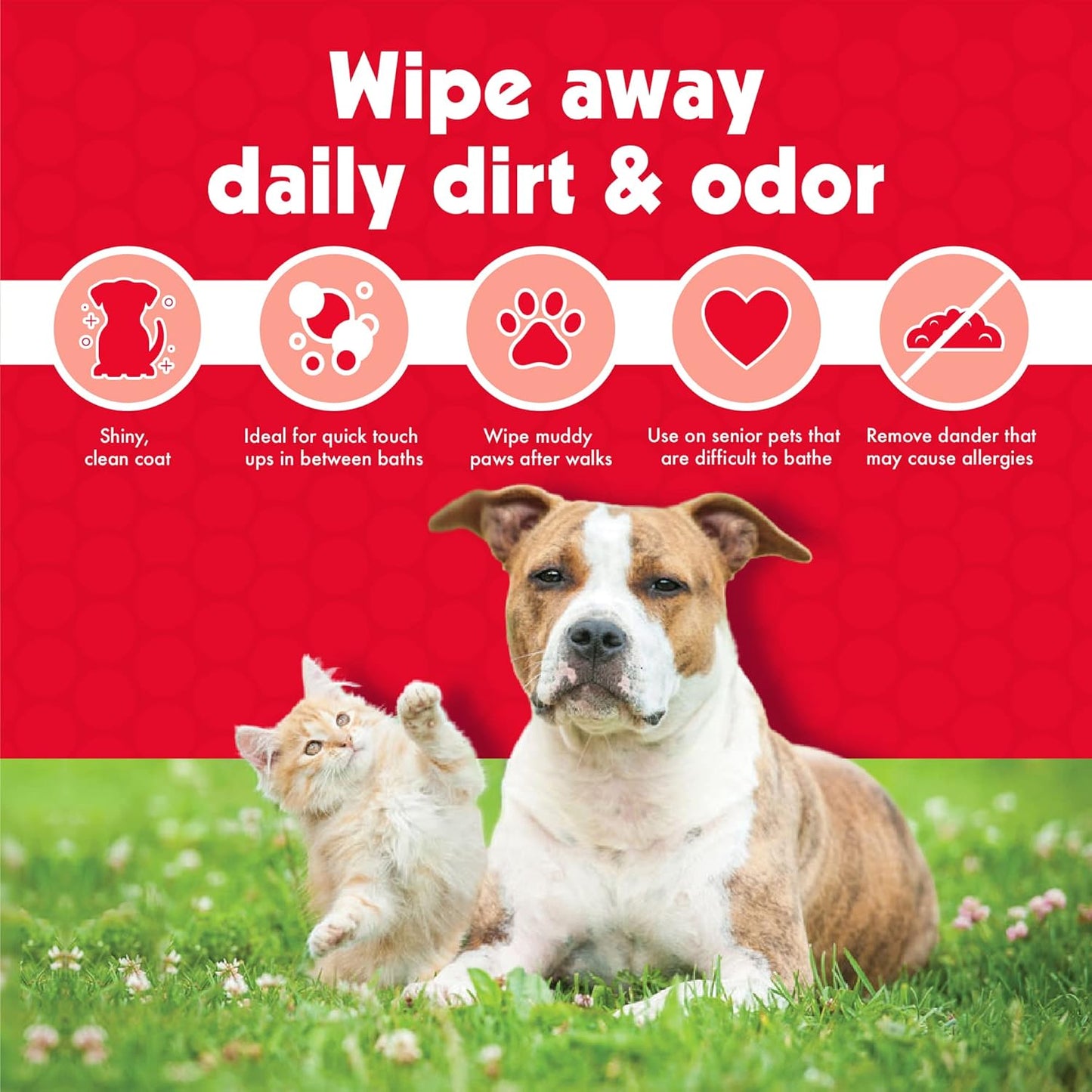 Premium Pet Wipes for Dogs & Cats - 100 Extra-Large Wipes | Removes Dirt & Odor | Cleans Ears, Face, Butt & Eye Area | Convenient for Home & Travel