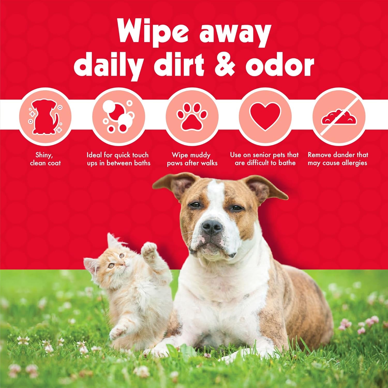 Premium Pet Wipes for Dogs & Cats - 100 Extra-Large Wipes | Removes Dirt & Odor | Cleans Ears, Face, Butt & Eye Area | Convenient for Home & Travel