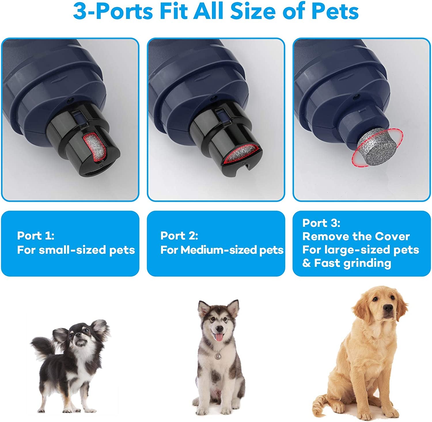 Powerful 2-Speed Dog Nail Grinder with LED Lights - Quiet, Painless Electric Pet Nail Trimmer for Small, Medium, Large Dogs & Cats - Professional Grooming & Smoothing