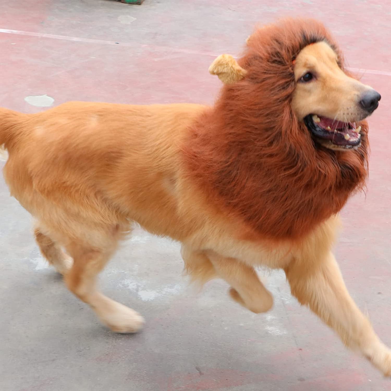 Realistic Dark Brown Lion Mane Costume for Medium to Large Dogs - Perfect for Halloween