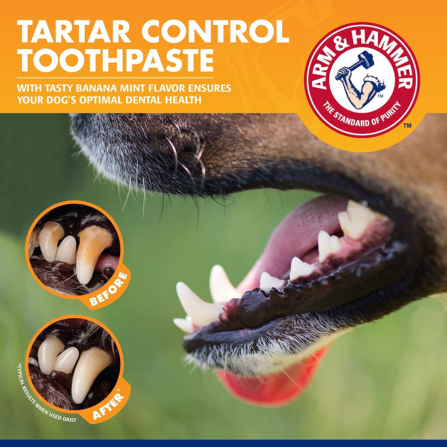 Dog Dental Care Kit | Includes Toothpaste, Toothbrush & Fingerbrush | Reduces Plaque & Tartar | 3-Piece Set, Banana Mint Flavor