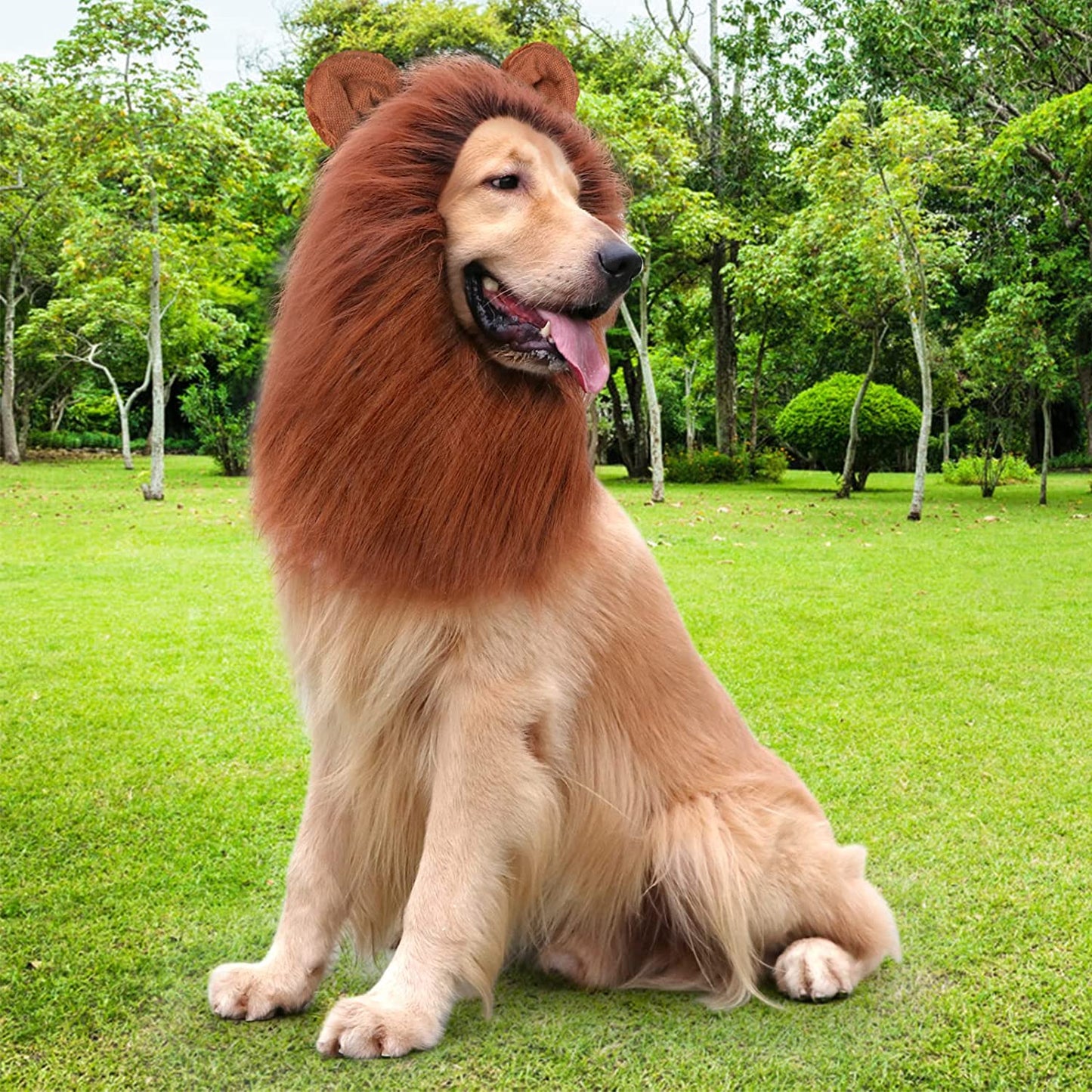 Realistic Dark Brown Lion Mane Costume for Medium to Large Dogs - Perfect for Halloween
