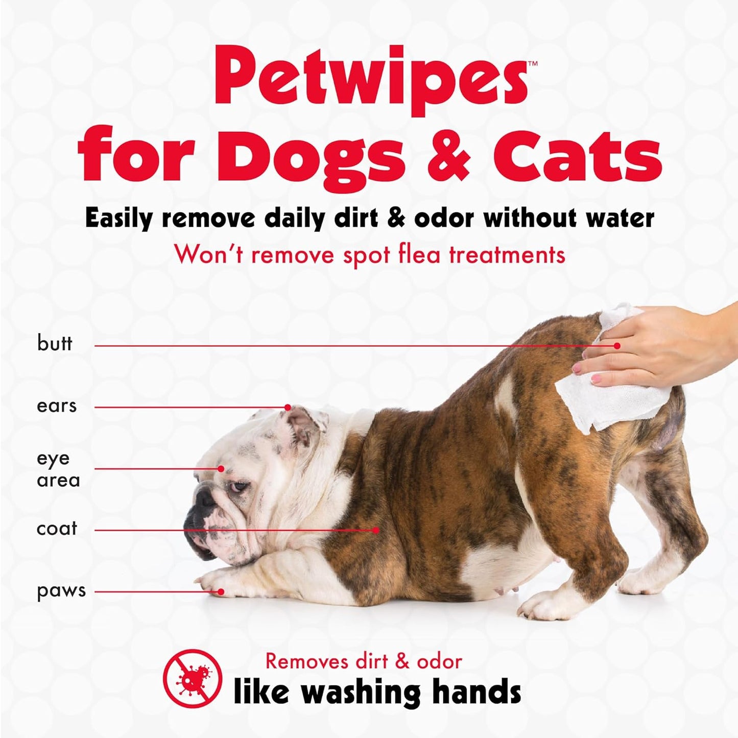Premium Pet Wipes for Dogs & Cats - 100 Extra-Large Wipes | Removes Dirt & Odor | Cleans Ears, Face, Butt & Eye Area | Convenient for Home & Travel